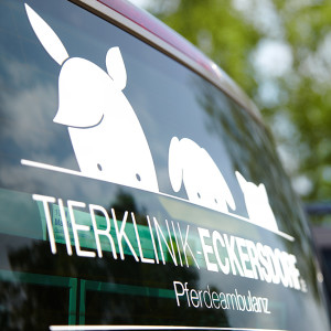 Imageaufnahmen Tierklinik Eckersdorf